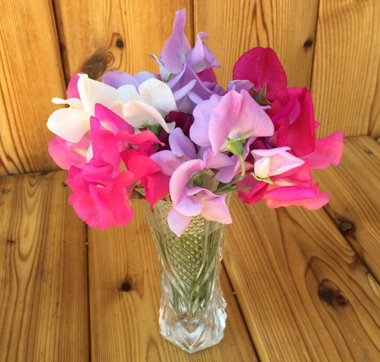 Sweet peas