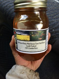 Elyse Williams, The Local Good